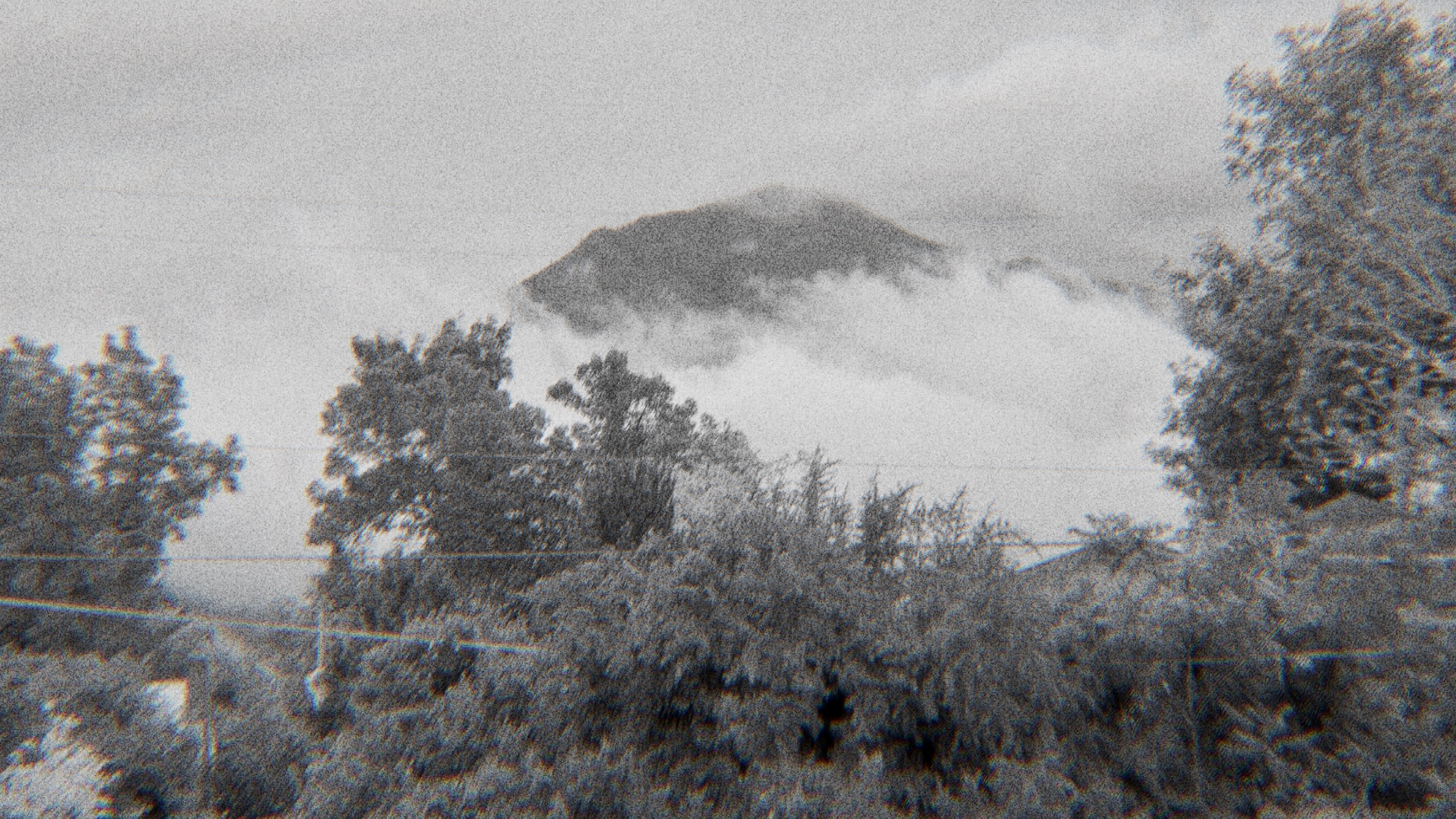 Moody grainy film image of trees, clouds, and a mountain.